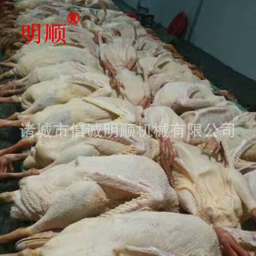 l自动鸭子脱毛机多少钱鸡鸭鹅打毛机家禽屠宰流水线设备生产厂家